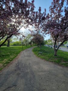 Historic Main Street Park Minneapolis Minnesota