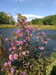 Quarry Hill Nature Center Rochester Minnesota