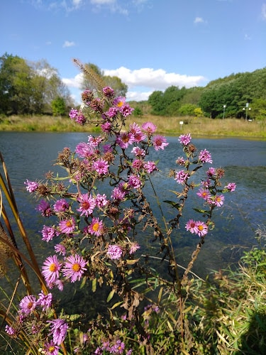Quarry Hill Nature Center Rochester Minnesota