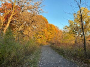 Rice Creek Chain of Lakes Park Reserve Lino Lakes Minnesota