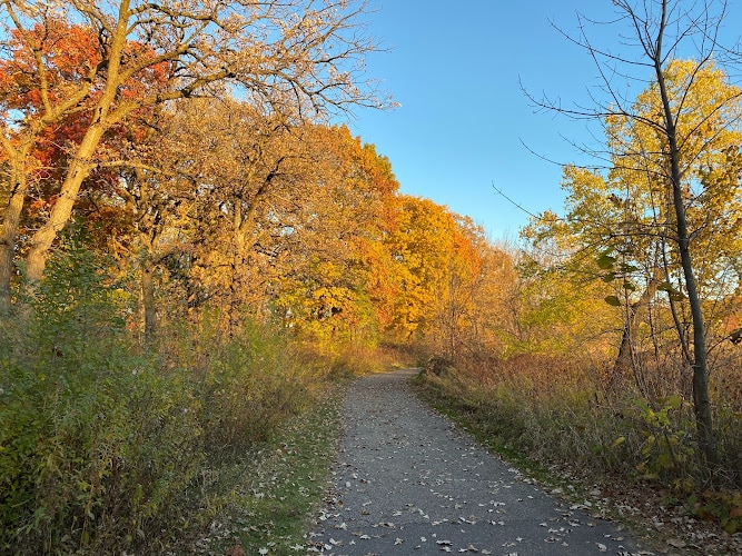 Rice Creek Chain of Lakes Park Reserve Lino Lakes Minnesota